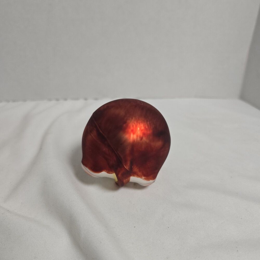 Smithsonian Institution Blown Glass Fat Ginger Green Eyed Cat Christmas Ornament - Picture 7 of 9